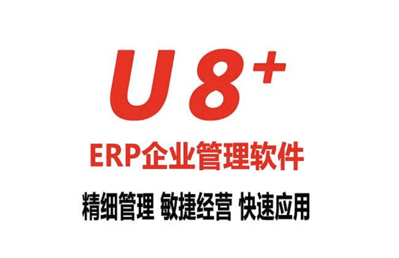 山东用友软件